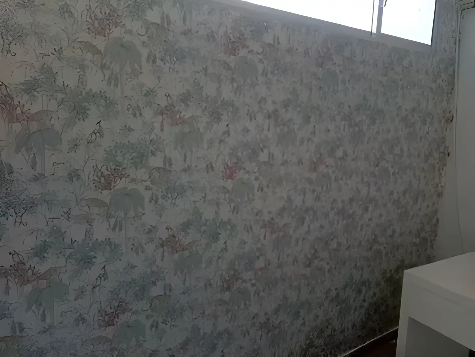 Los Pintores Castellón colocando papel pintado decorativo en pared completa de habitación